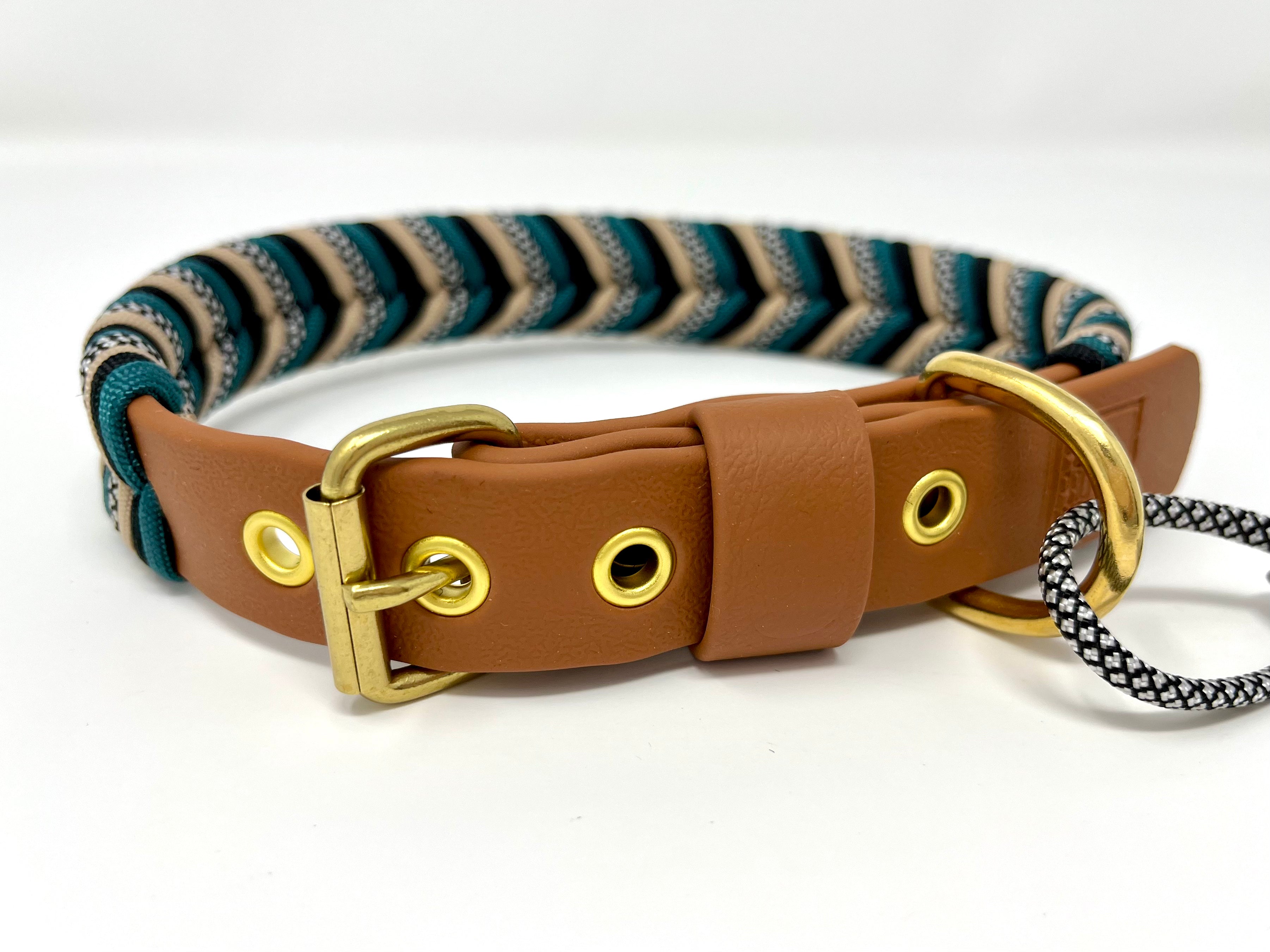 ARROW - CYAN LETOURNO