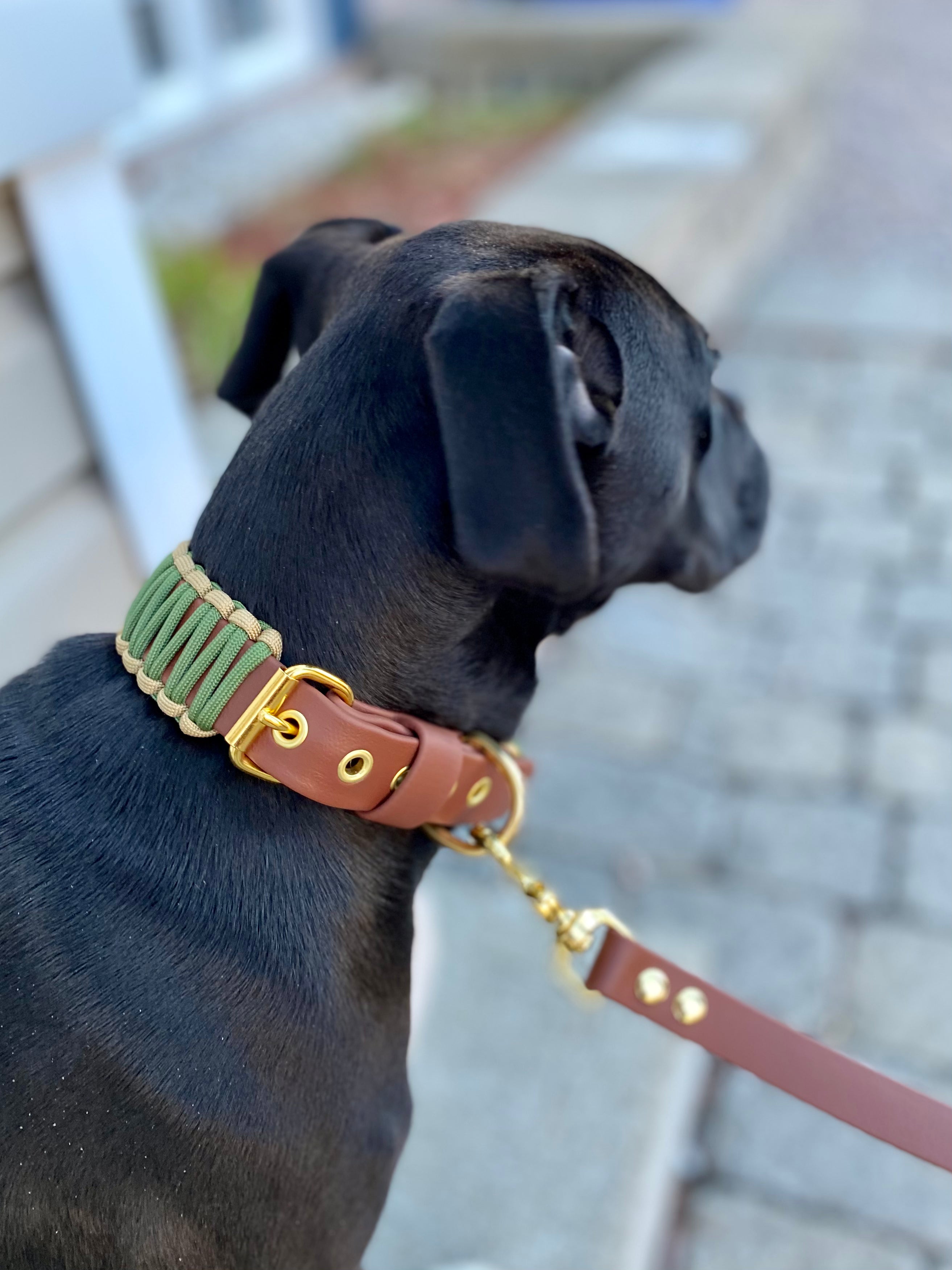 BALOU - CAMO