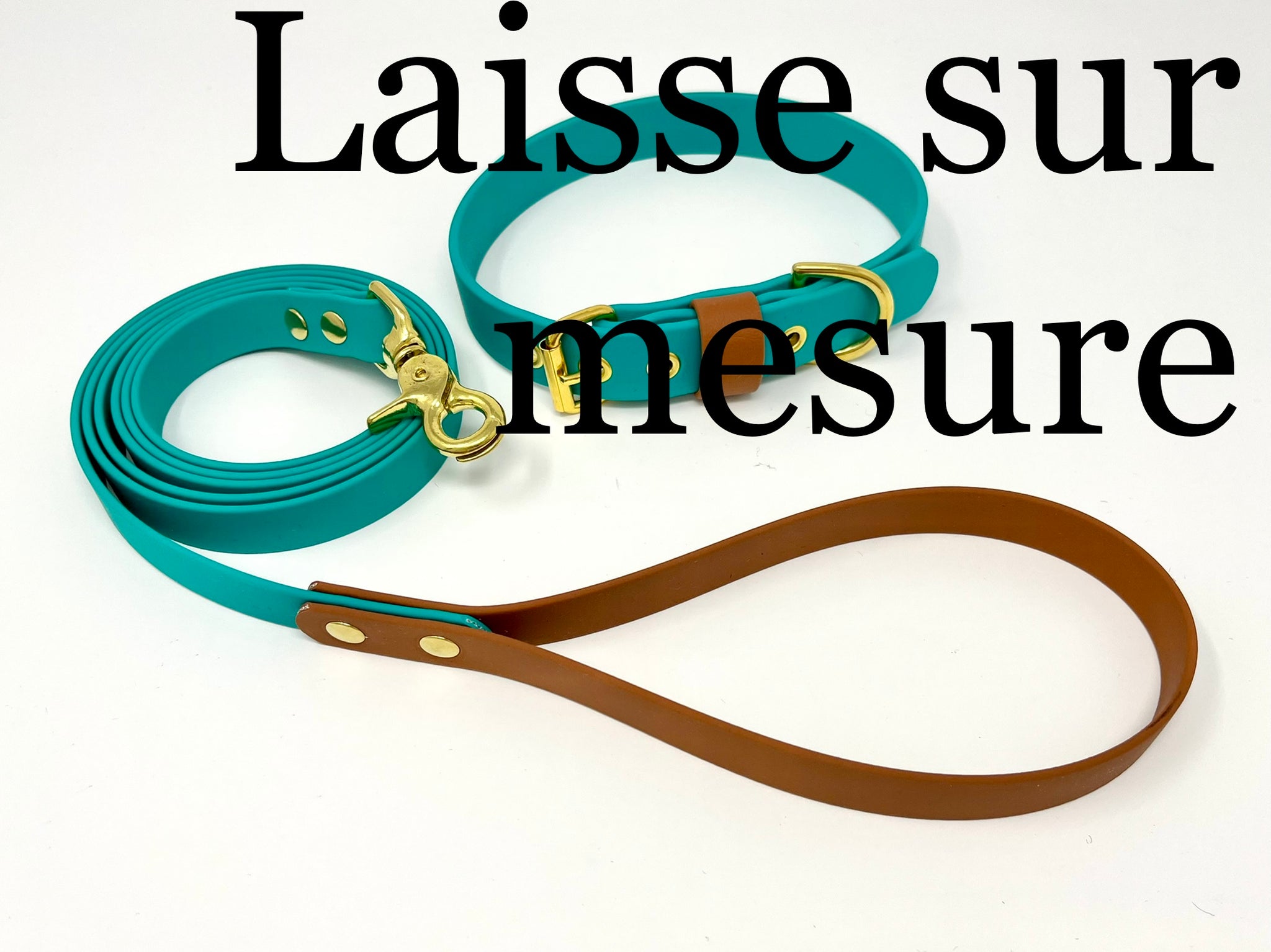 Laisse mains libres corde x Biothane Brownie