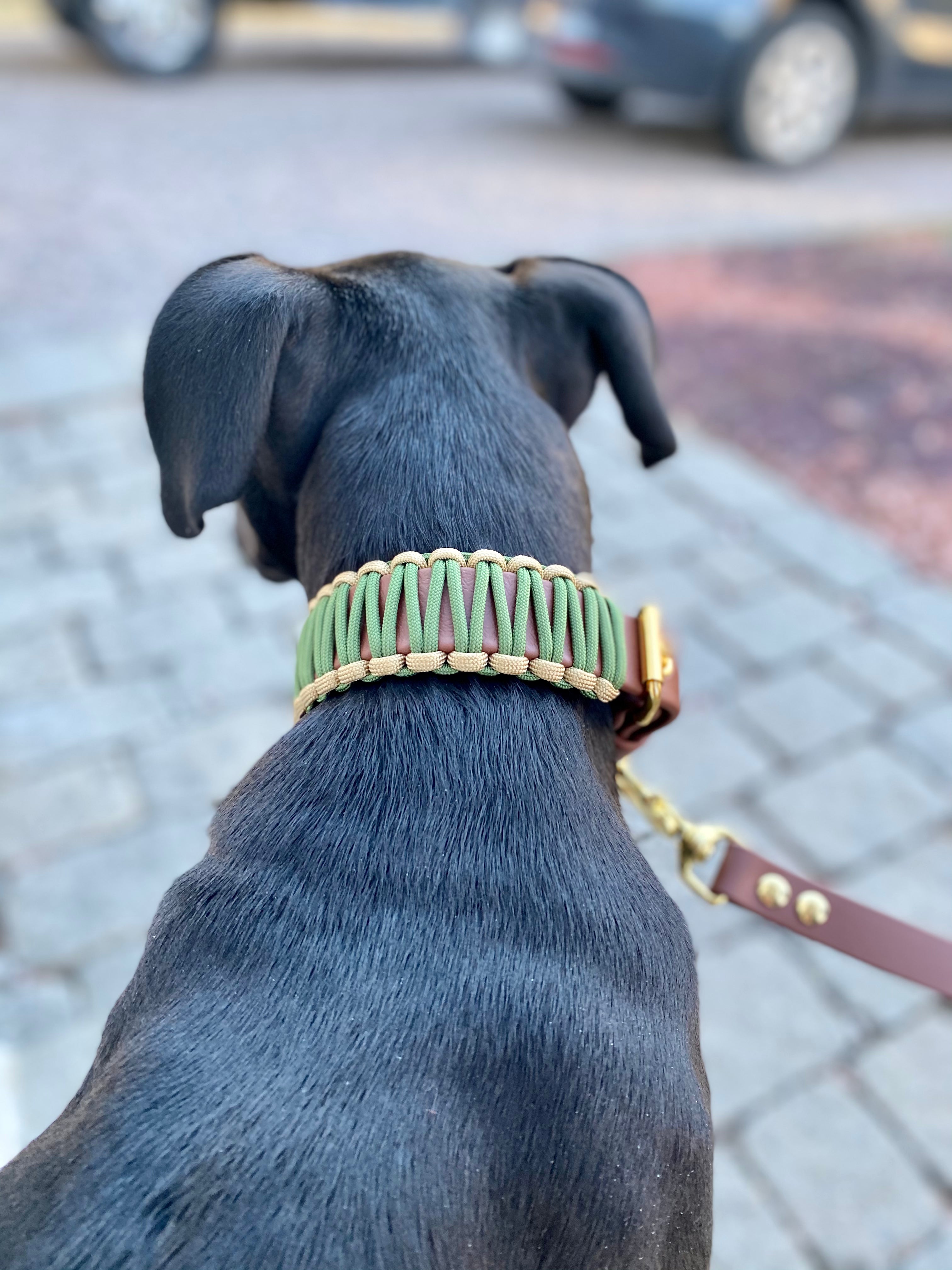 BALOU - CAMO