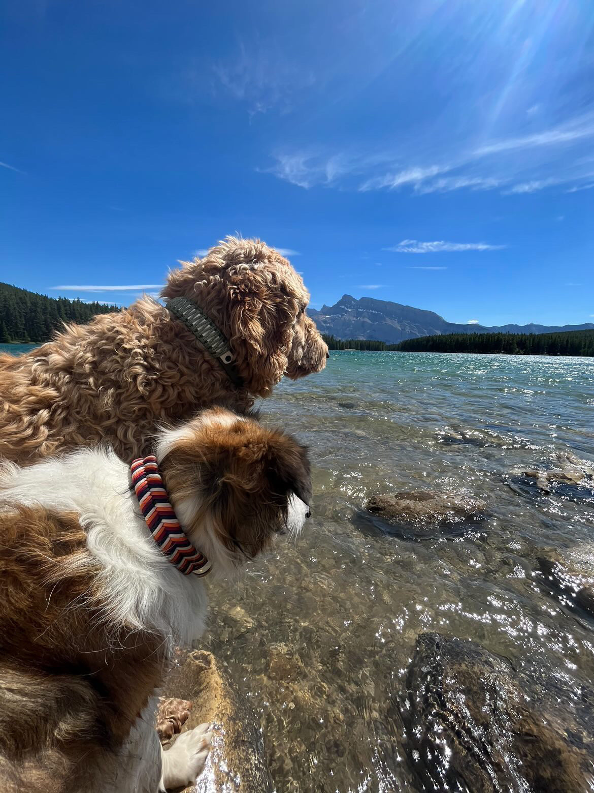 DOUBLE BALOU - DOOG