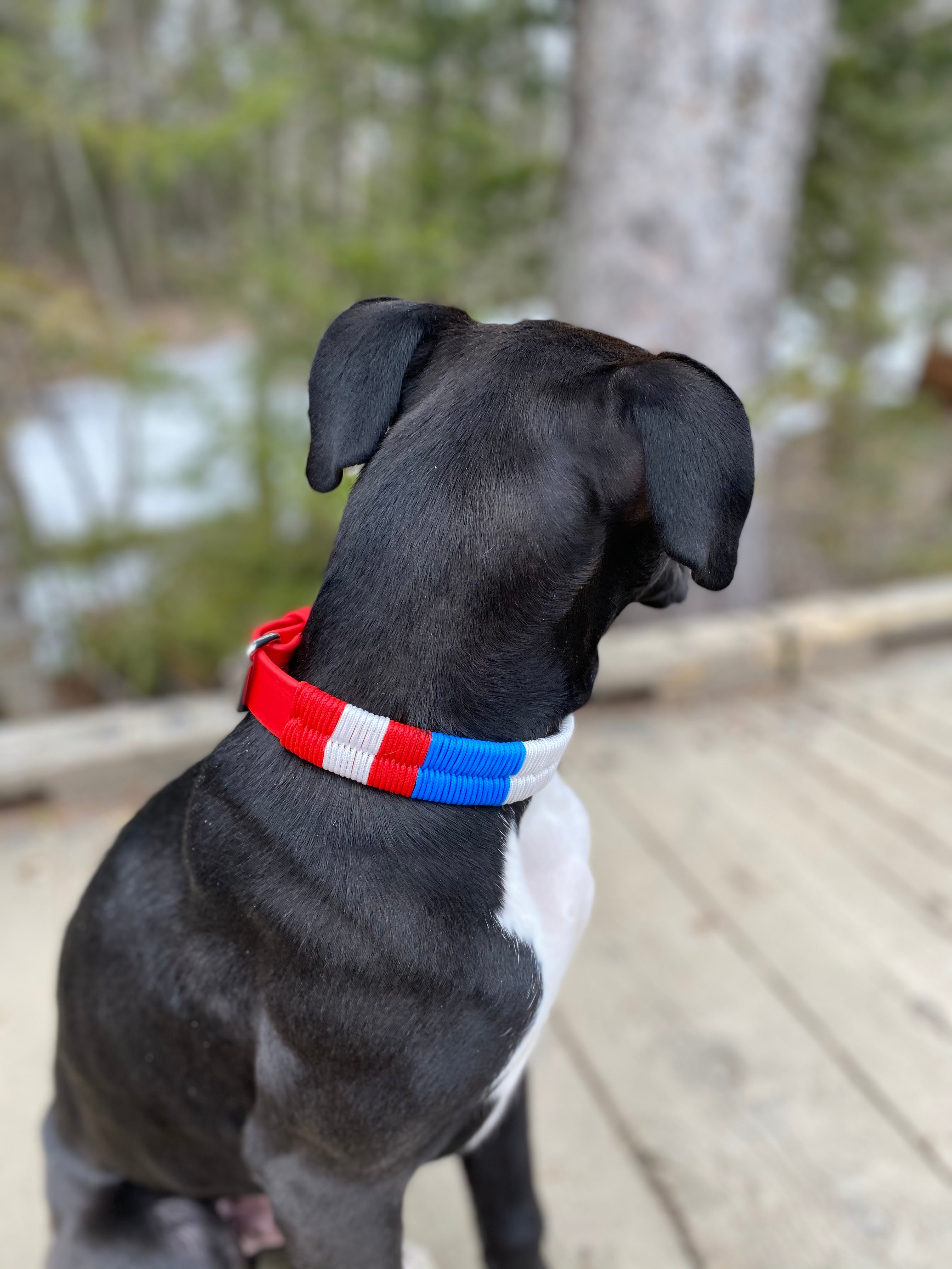 ROMÉO - AMERICA
